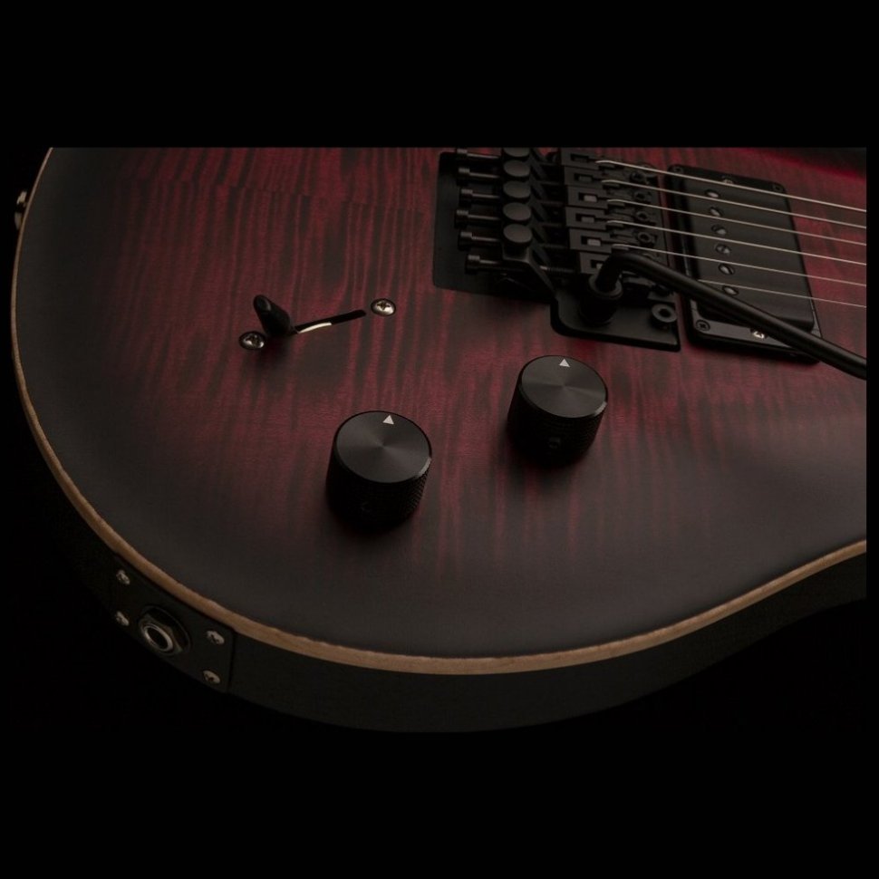 PRS DW CE 24 FLOYD (Waring Burst)