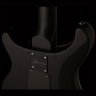 PRS DW CE 24 FLOYD (Waring Burst)