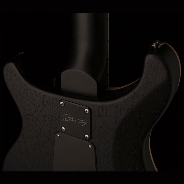 PRS DW CE 24 FLOYD (Waring Burst)
