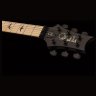 PRS DW CE 24 FLOYD (Waring Burst)