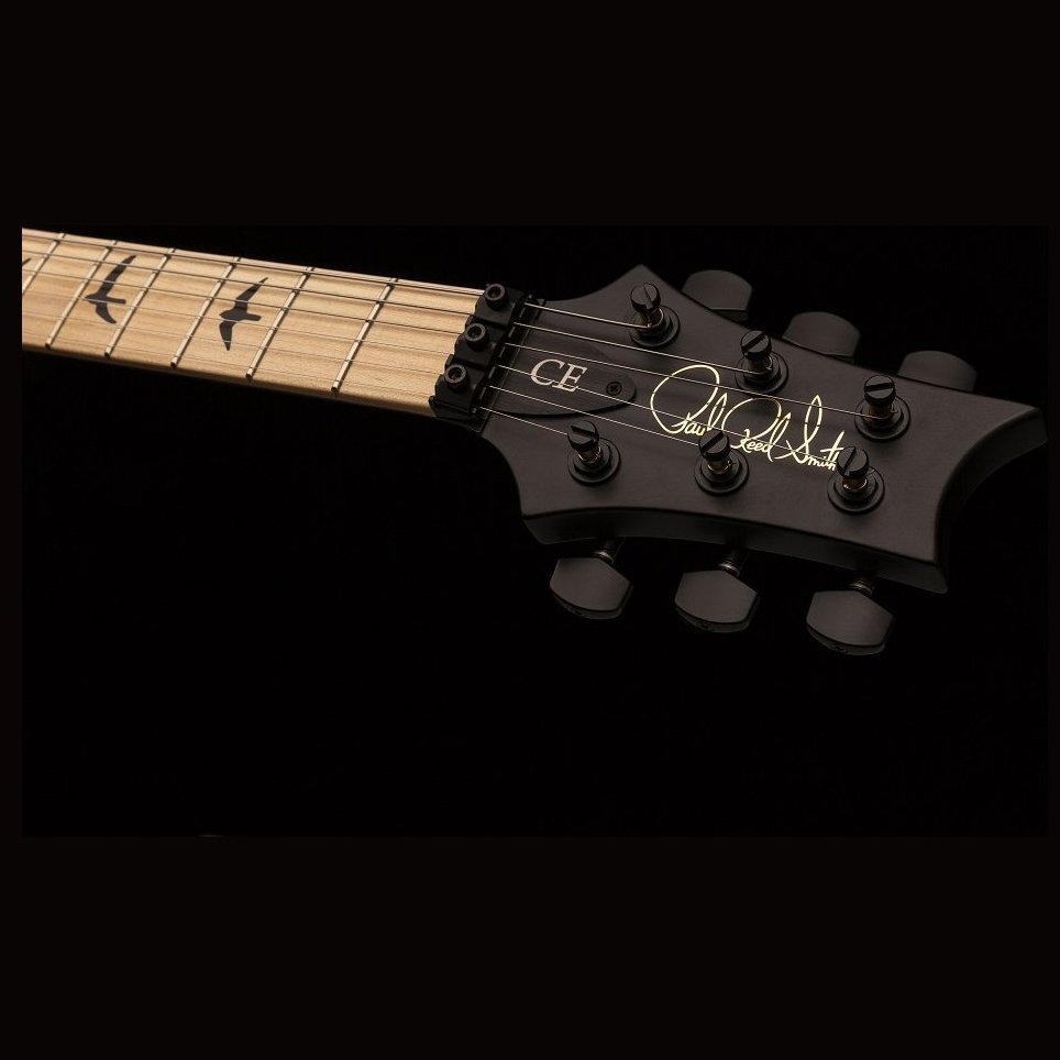 PRS DW CE 24 FLOYD (Waring Burst)