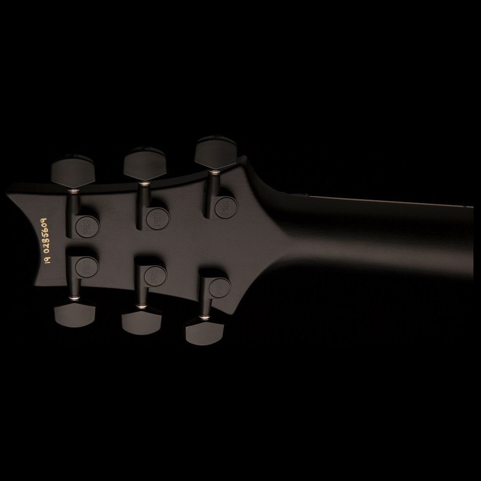 PRS DW CE 24 FLOYD (Waring Burst)