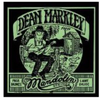Dean Markley 2402