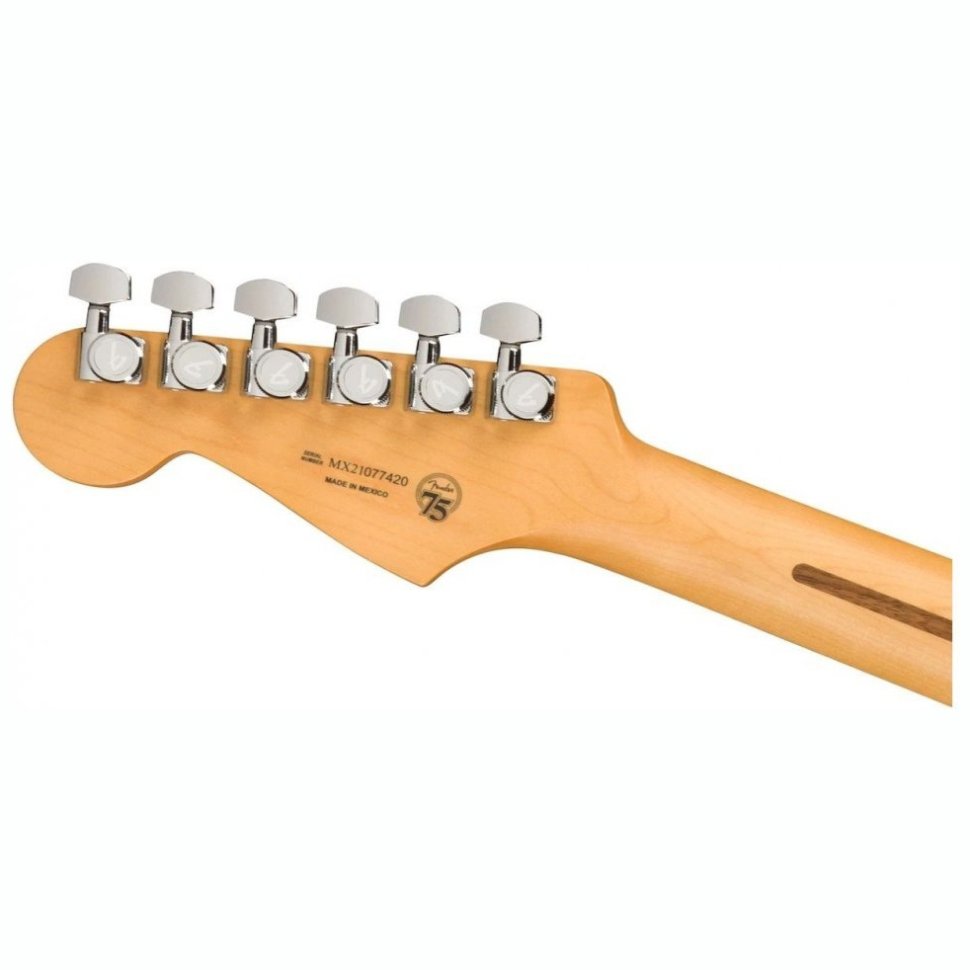 Fender Player Plus Stratocaster Hss Pf Svb Fender Player Plus Stratocaster Hss Pf Svb