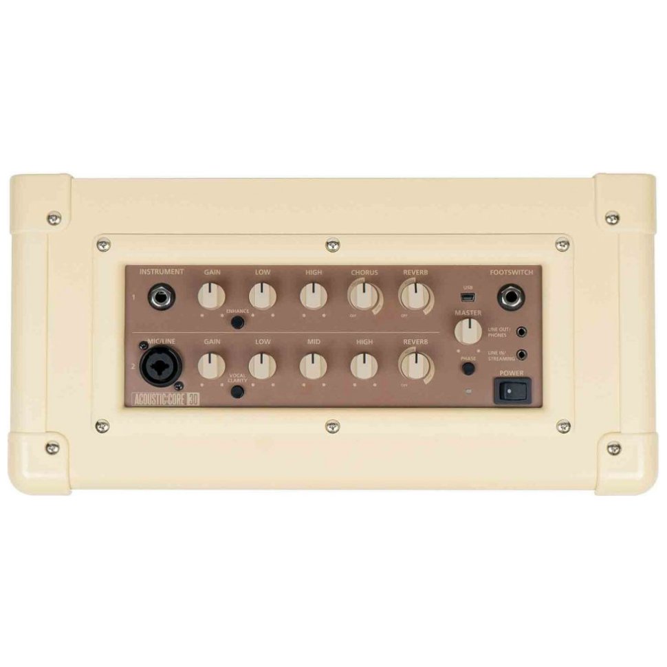 Blackstar ACOUSTIC:CORE 30