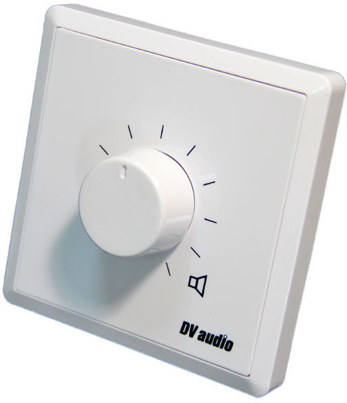 DV audio P-100
