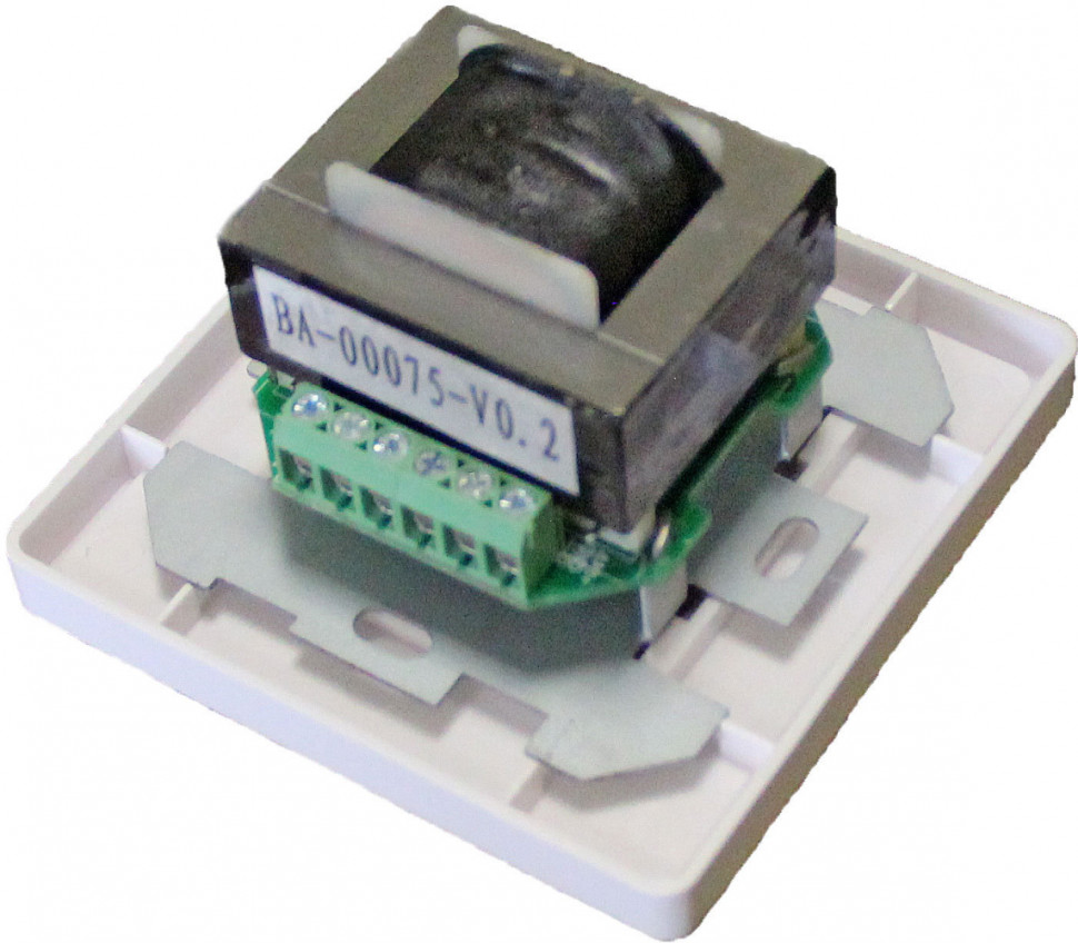 DV audio P-100