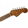Fender NEWPORTER PLAYER NATURAL WN