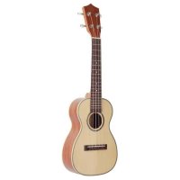 Prima M340T (Solid Spruce / African Rosewood)