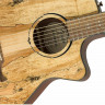 Fender FA-345CE SPALTED MAPLE FSR LR Fender FA-345CE SPALTED MAPLE FSR LR