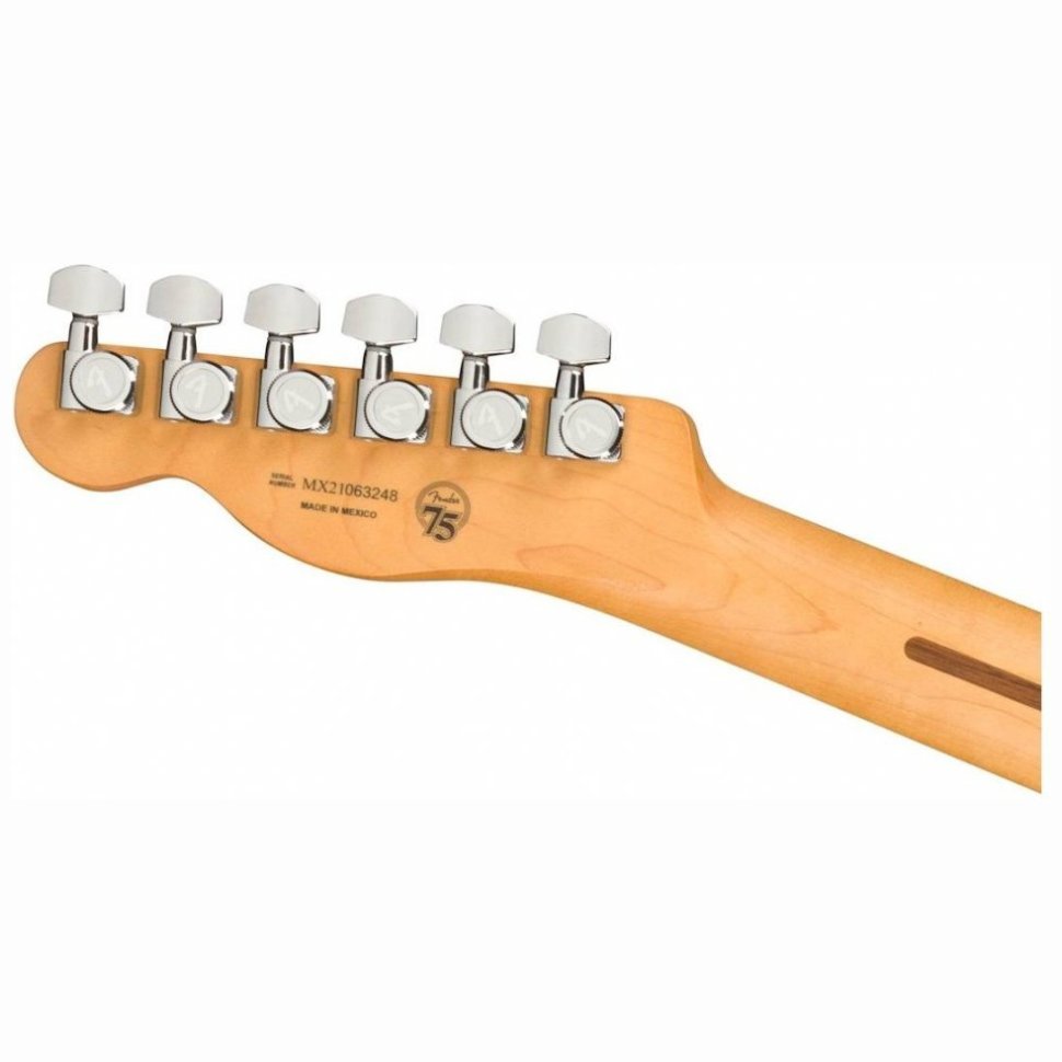 Fender Player Plus Telecaster PF SVS Fender Player Plus Telecaster PF SVS