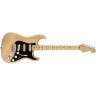 Fender AMERICAN PROFESSIONAL LIMITED EDITION STRATOCASTER NM AGN