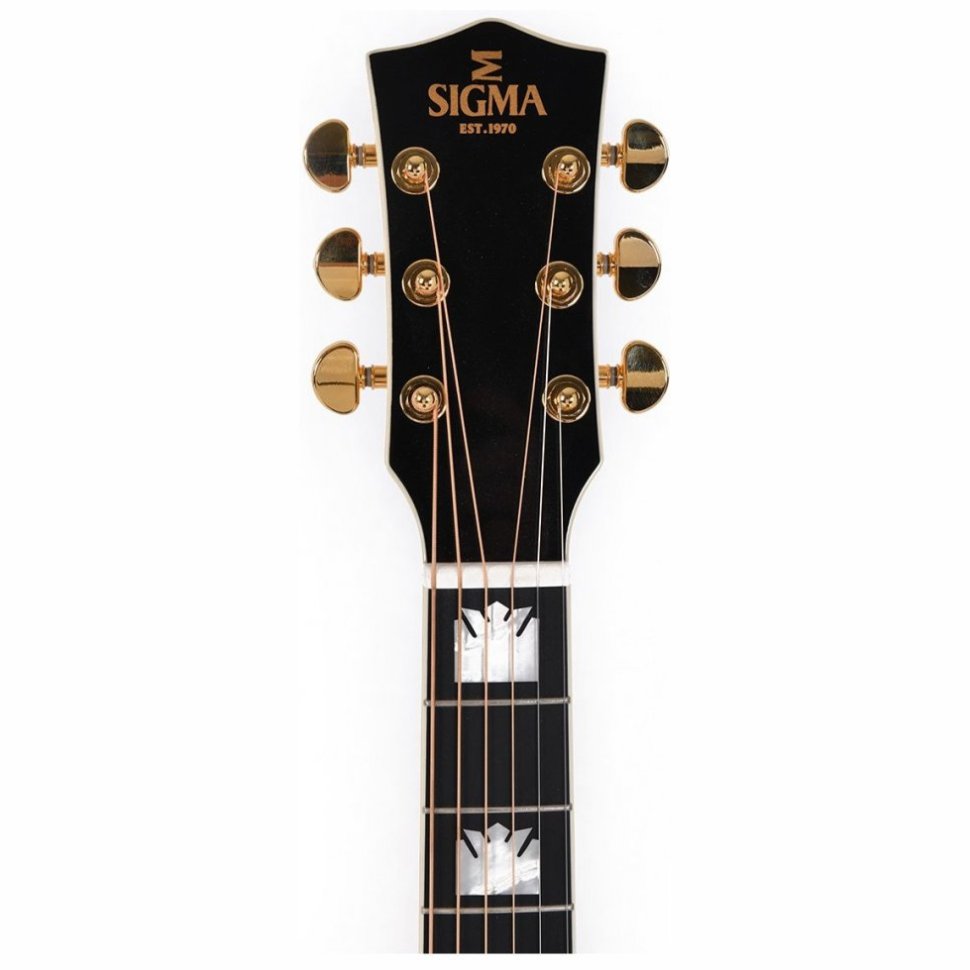 Sigma GJQA-SG200-AN with case Sigma GJQA-SG200-AN with case