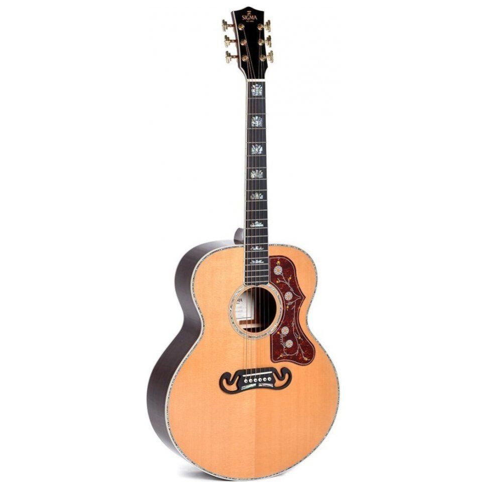 Sigma GJR-SG300 with case