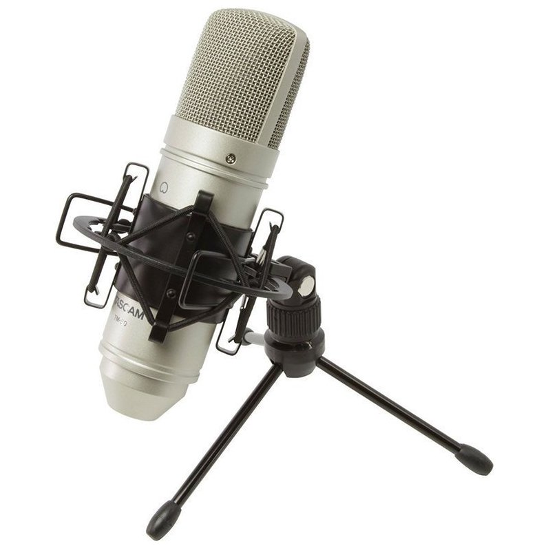 Tascam TM-80-Microphone