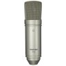 Tascam TM-80-Microphone