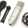 Tascam TM-80-Microphone