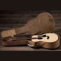 Taylor GS Mini Sapele