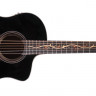 Washburn VITE S9V