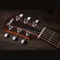 Taylor GS Mini-e Trans Black Special Edition
