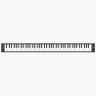 Blackstar CARRY ON Folding Piano 88 (Black)