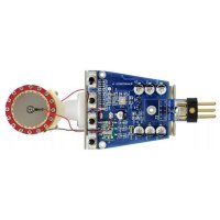 sE Electronics T2(P)