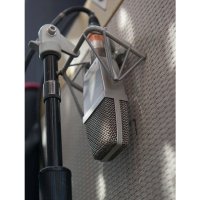 sE Electronics T2(P)