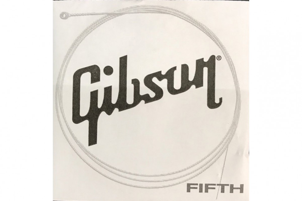 Gibson SEG-700ULMC FIFTH SINGLE STRING ACOUSTIC 036
