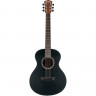 Washburn AGM5BMK