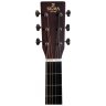 Sigma DTC-28HE (Fishman Presys+)