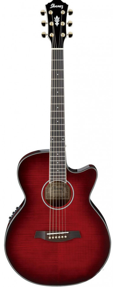 Ibanez AEG24II THS Ibanez AEG24II THS