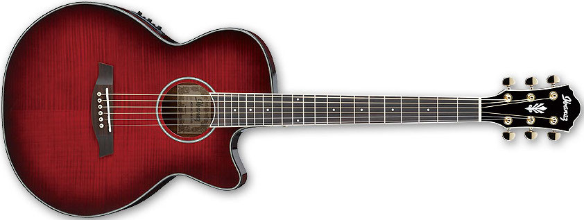 Ibanez AEG24II THS Ibanez AEG24II THS