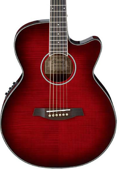 Ibanez AEG24II THS Ibanez AEG24II THS