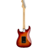 Fender PLAYER STRATOCASTER HSS PLUS TOP MN ACB