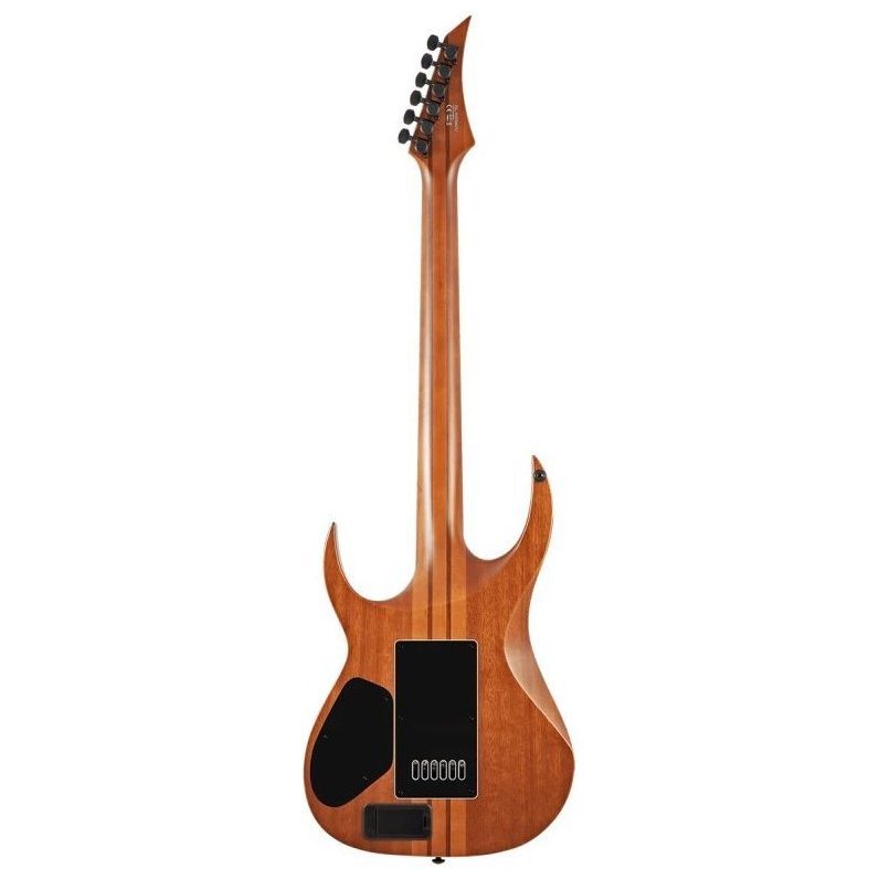 Solar Guitars S1.6APB POPLAR BURST MATTE