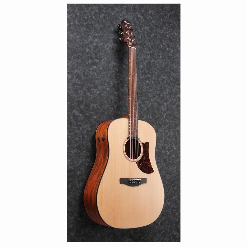 Ibanez AAD100E