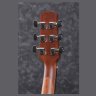 Ibanez AAD100E