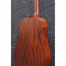 Ibanez AAD100E