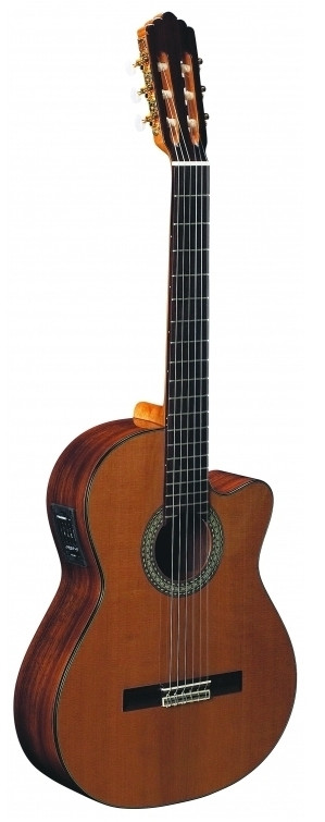 Altamira N300CE Altamira N300CE