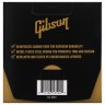 Gibson SEG-BWR9 BRITE WIRE REINFORCED 9-42 ULTRA-LIGHT