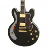 Epiphone SHERATON-II PRO EBONY Epiphone SHERATON-II PRO EBONY
