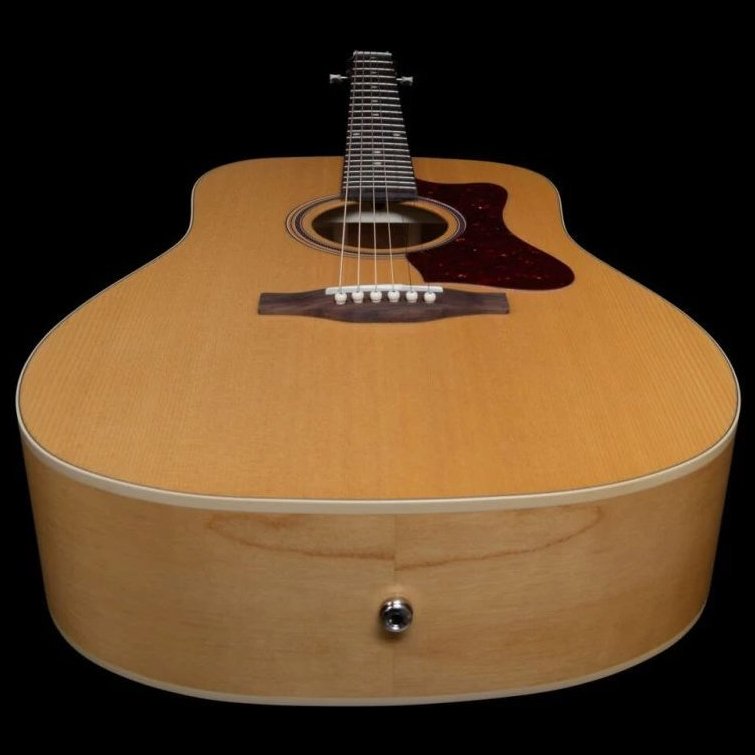 Norman B20 Natural GT Presys II