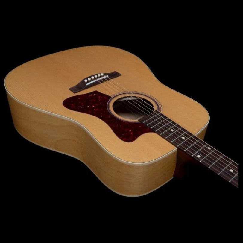 Norman B20 Natural GT Presys II