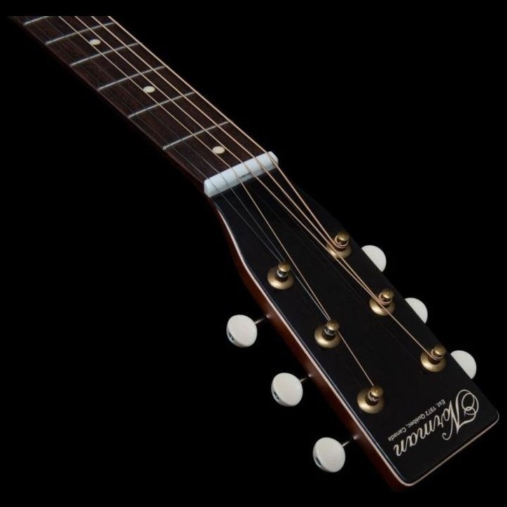 Norman B20 Natural GT Presys II