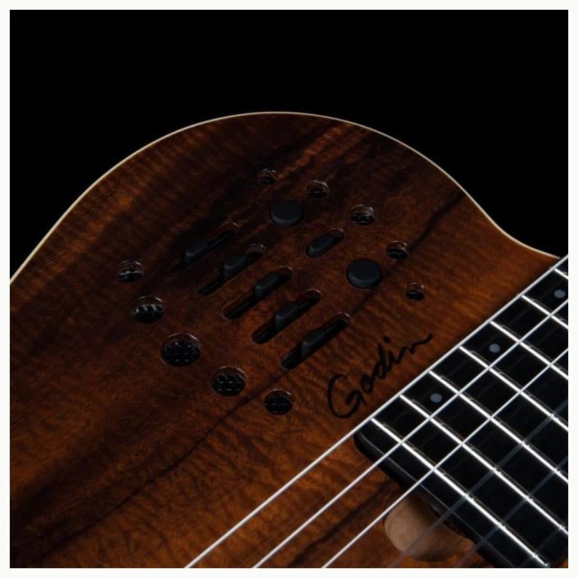 Godin ACS Nylon KOA Extreme HG