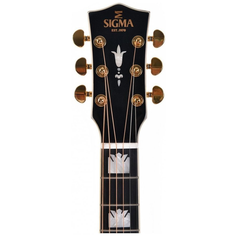 Sigma SGJR-SG200 with case