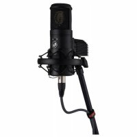 Warm Audio Wa-8000 Large Diaphragm Tube Condenser Microphone