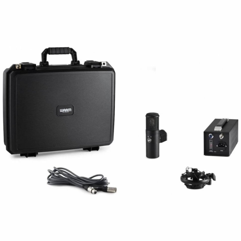 Warm Audio Wa-8000 Large Diaphragm Tube Condenser Microphone