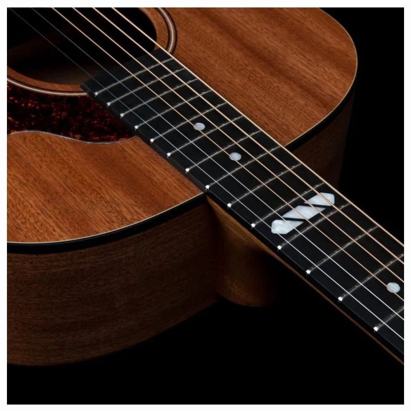 Godin Metropolis Composer LR Baggs Element