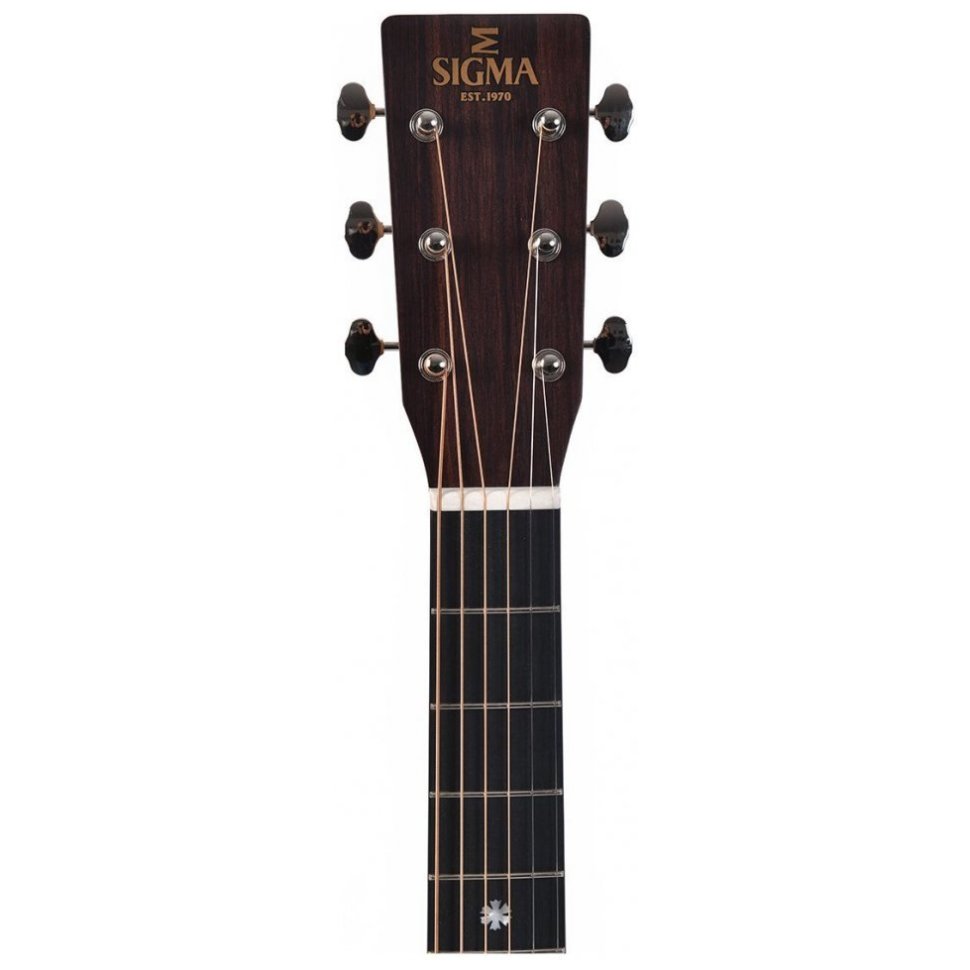 Sigma SDP-10E (LR Baggs EAS-VTC)